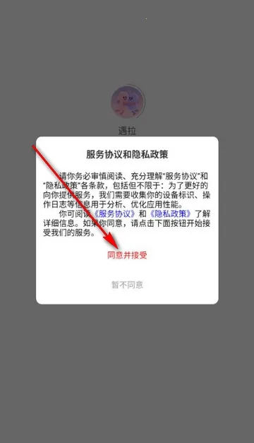 ����(����Ⱥ���罻)