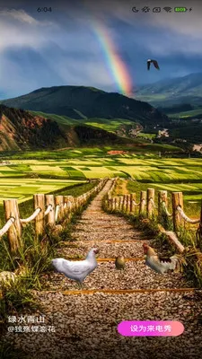 ��Ƥ��2026���ذ�װv2.4.2.2 ��׿��