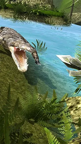 ����21���ƽ��