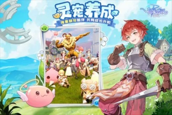 �ɾ���˵ro����2026���°汾