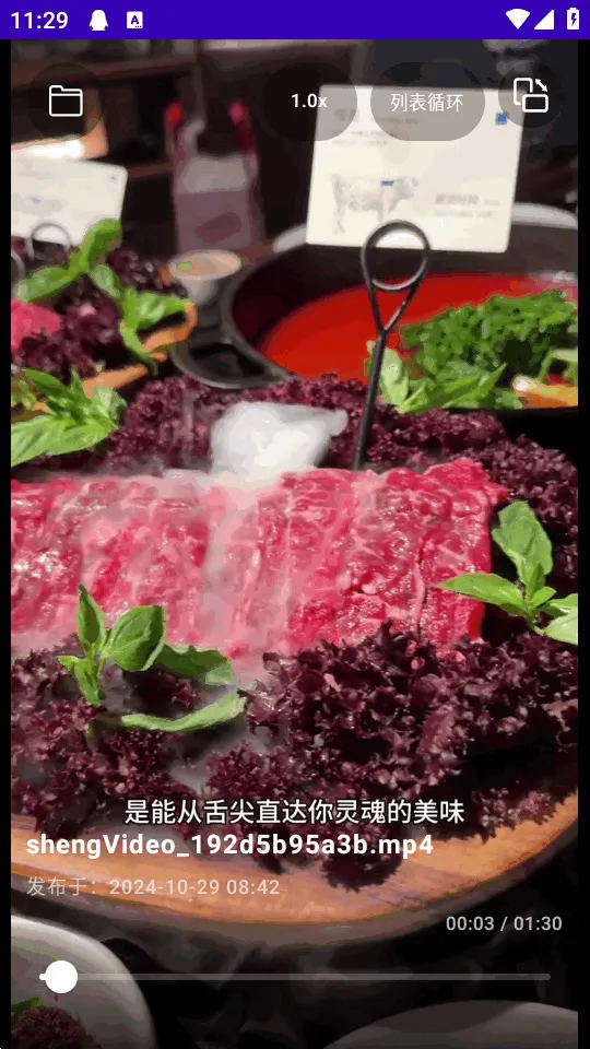 TikAlbum(�ļ�������)v1.0.0 �ٷ�����