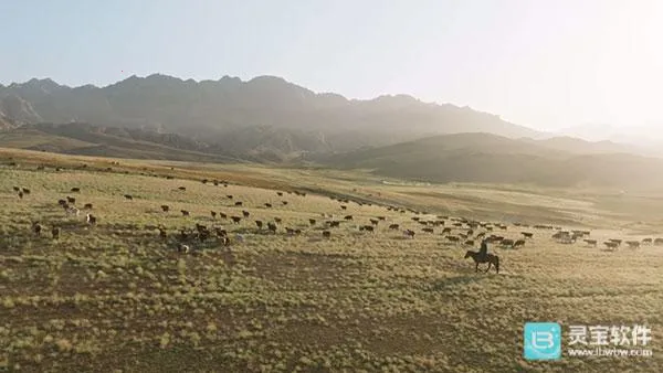 ȫ�ۺ�TV�����ֻ���