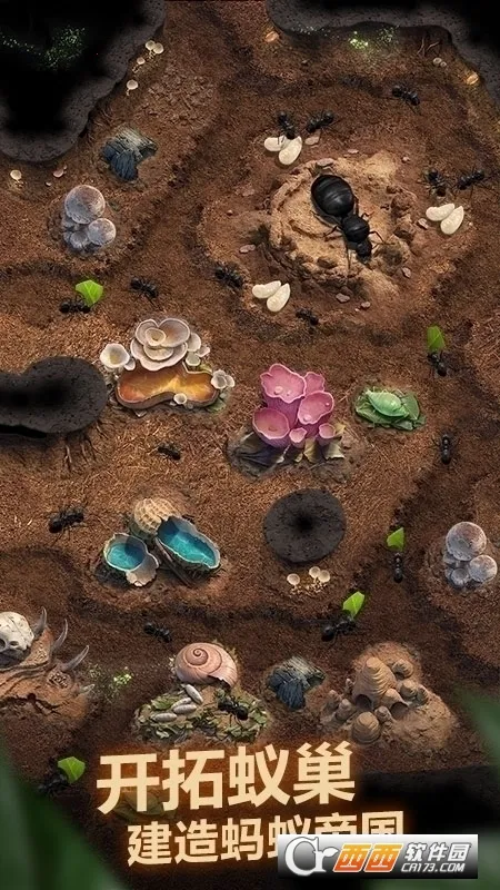 The Ants��׿���ֻ���v3.87.0 ��Ѱ�