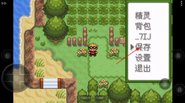 �ڴ��������뱦������(���뱦��ð����Ϸ)