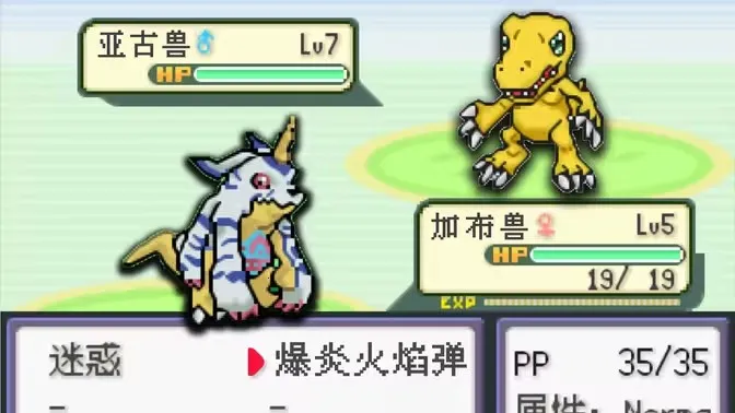 �ڴ��������뱦������(���뱦��ð����Ϸ)v2021.03.19.16 ��Ѱ�