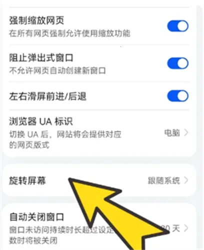 bobo������޹���ȫ��ͨ