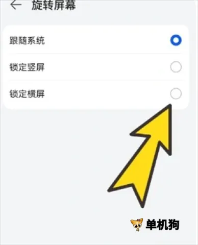 bobo������޹���ȫ��ͨ