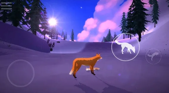 ��һ���������ֻ���