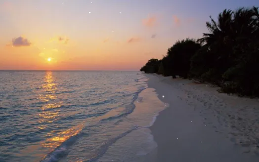 ���װ�2026���ذ�װ