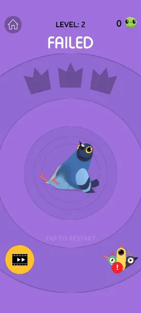 pigeon games2026���ذ�װv1.1 ��Ѱ�