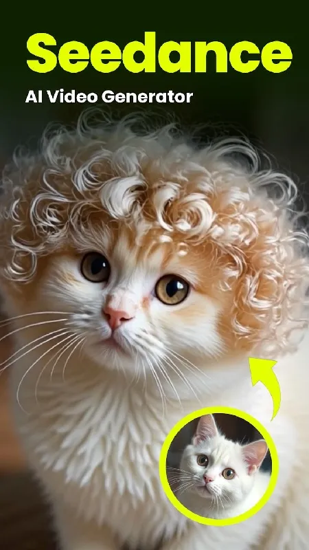 Seedance2026�ٷ�����v1.0.3 �ٷ�����