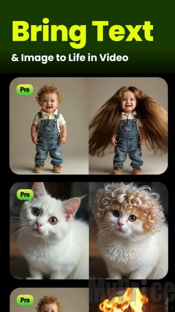 Seedance2026�ٷ�����