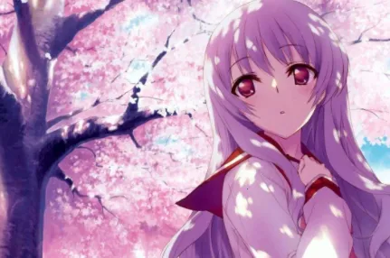 i�ֻ��ܼ�(�ֻ������Ż�)