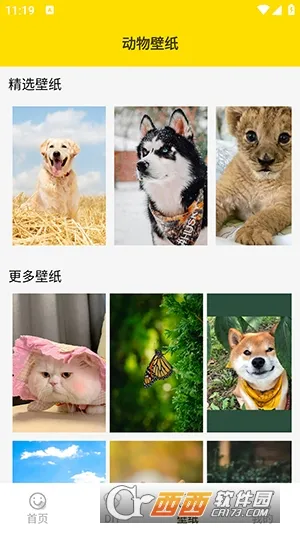 ���ӱ���������ֻ���v1.5 �ֻ���