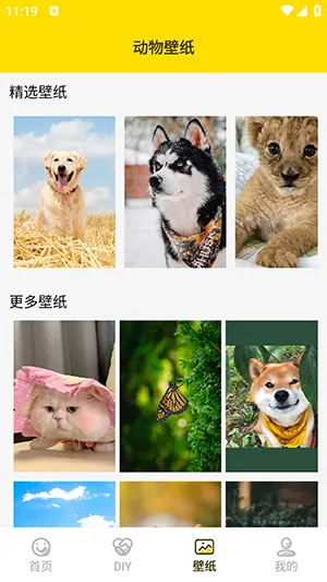 ���ӱ���������ֻ���v1.5 �ֻ���