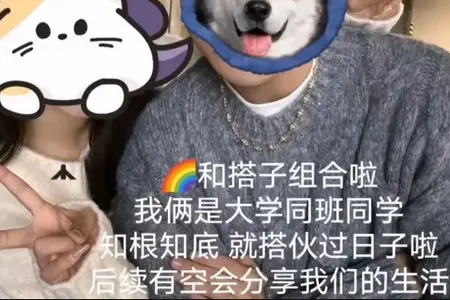 ��������2026�ٷ�����