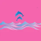 �涯��������ֻ���v1.0.0 ��׿��