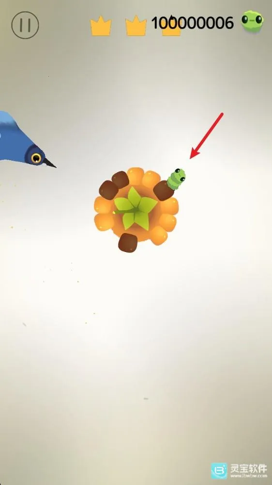 疯狂的鸽子(休闲点击闯关手游)