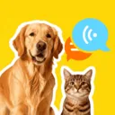 �ȳ�è����ѷ���(���ﻥ��Ӧ��)v1.0.2 ��Ѱ�