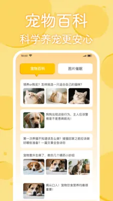 è�������﷭����(����Ȥζ��ͨӦ��)v1.0.2 ��Ѱ�