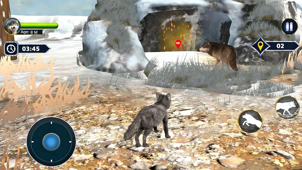 狼模拟器 3D(狼模拟生存游戏)截图