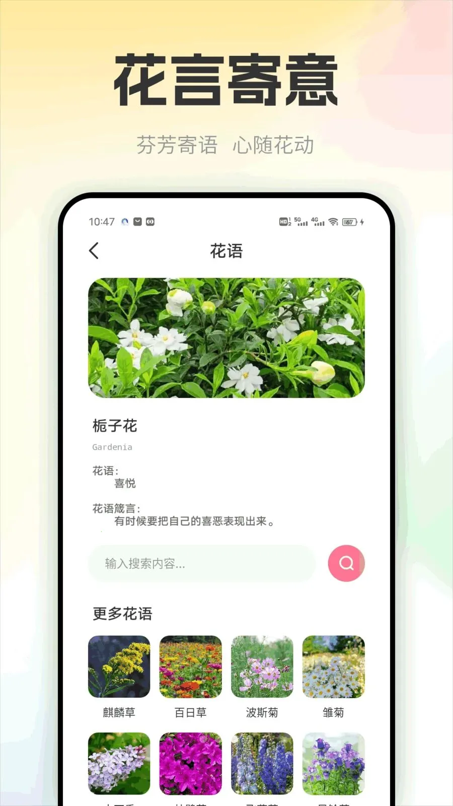黑马淘淘安卓版手机版截图