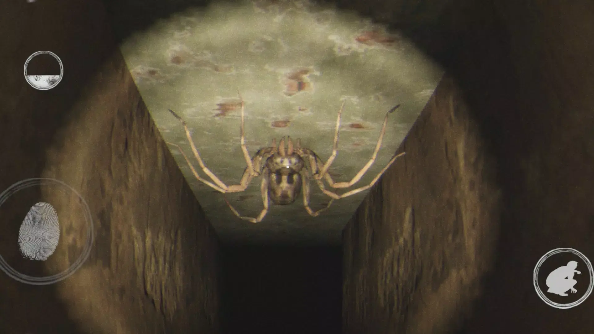 ����ʵ��ֲ���Ϸȥ���(���ҿֲ���Ϸ����)v1.4 ��׿��