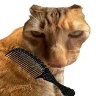 ��è��ë(è��ë������Ϸ)v1.0 ��׿��