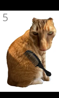 ��è��ë(è��ë������Ϸ)v1.0 ��׿��