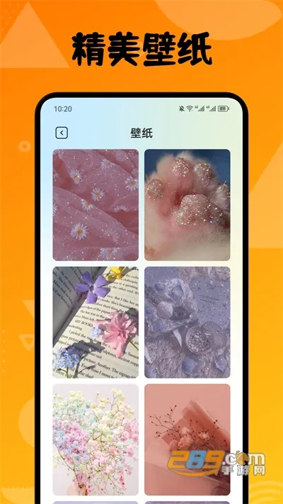 ������������2026�ٷ�����