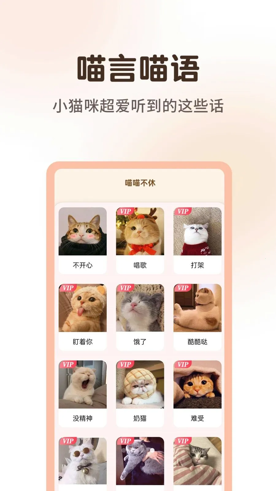 ����è�����﷭����2026���ذ�װv1.0.3 �ֻ���