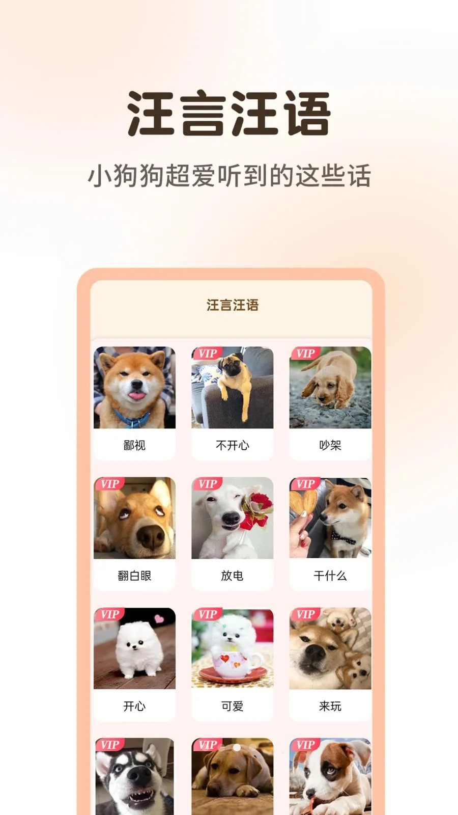 ����è�����﷭����2026���ذ�װv1.0.3 �ֻ���