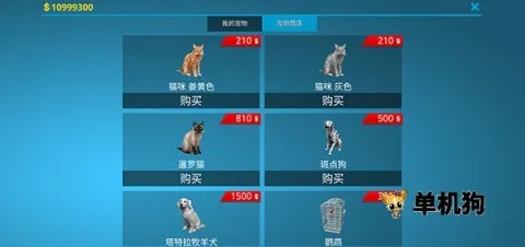 �������ʦ2026�ٷ����°汾