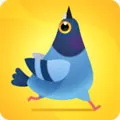 Pigeon(����ð����Ϸ)v1.3.2 ��׿��