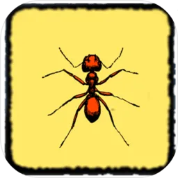 �������������ֻ���v1.0 �ֻ���