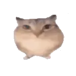 �ͰͲ�һ����(���������Ϸ)v1.0 ��׿��