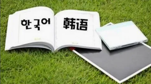 韩语词典最新手机版 韩语词典最新手机版