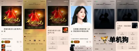 Rhythm(音乐播放软件) Rhythm(音乐播放软件)