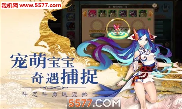 ����Q��(���λغ�����)v1.0 ��׿��