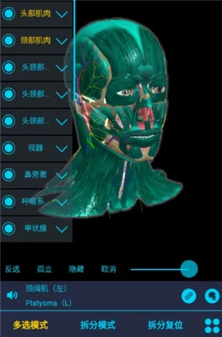 医维度解剖(人体解剖学习软件) 医维度解剖(人体解剖学习软件)