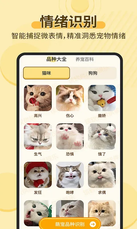 宠物猫狗交流助手2026最新版本截图