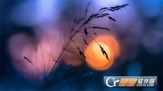 工作现场水印相机(现场拍照加水印) 工作现场水印相机(现场拍照加水印)