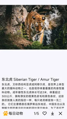 ÿ�ն���(�������APP)v1.0.0 ��Ѱ�