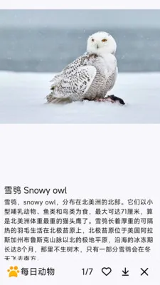 ÿ�ն���(�������APP)v1.0.0 ��Ѱ�
