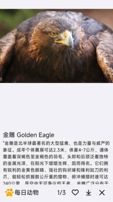 ÿ�ն���(�������APP)v1.0.0 ��Ѱ�