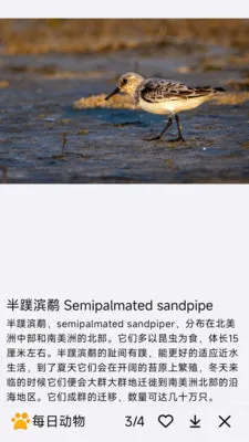 ÿ�ն���(�������APP)v1.0.0 ��Ѱ�