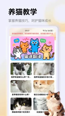 ����è��app�����ֻ���v1.3 �ٷ�����