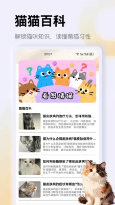����è��app�����ֻ���v1.3 �ٷ�����