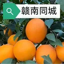 ����ͬ��(ͬ���������)v15.7.4 ��Ѱ�