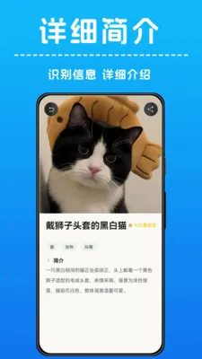 AI����ʶ��(����ʶ��Ӧ��)v1.0.5 ��Ѱ�